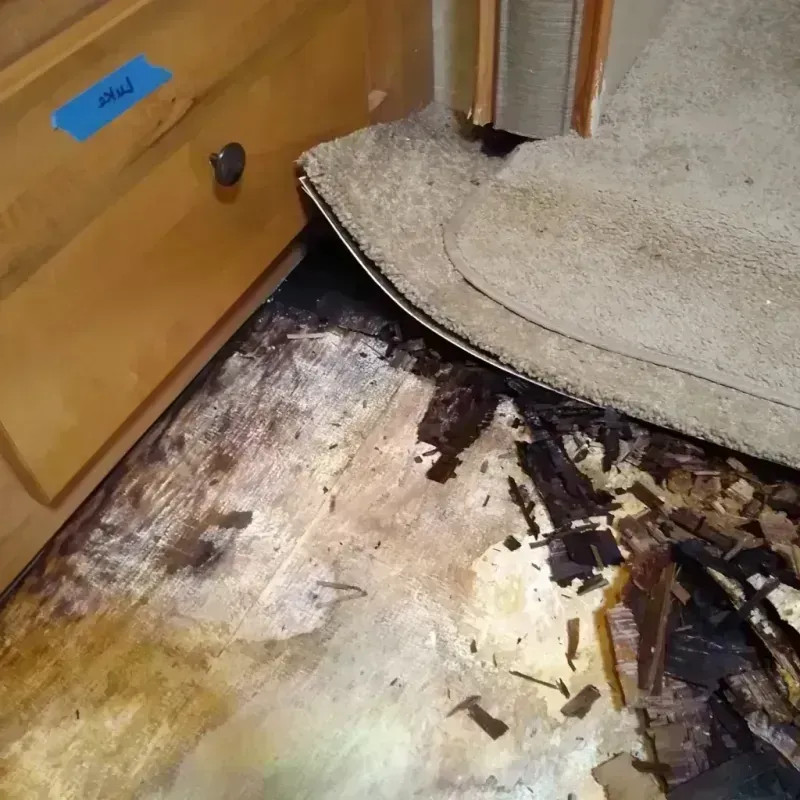 Wood Floor Water Damage in Akron, NY